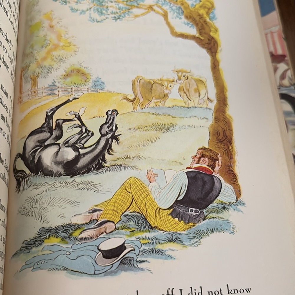 Black Beauty Vintage Hardcover Book - Picture 5 of 5